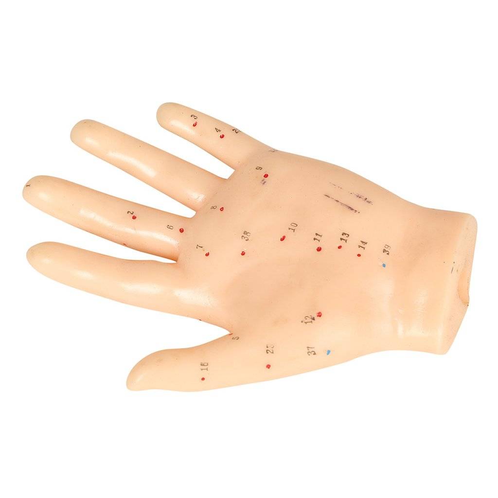 1499338874174_acupuncture-hand-model-1_e2ad9b21-8319-412d-b14d-c92dcb47751f_1024x1024